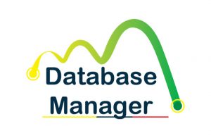 Database Manager internship