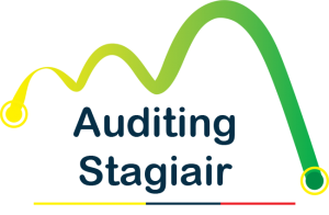 Auditing stagiair